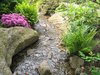 exotic rivulet scenery