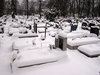 Cemetery in winter