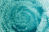 digital flower