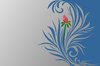 Birth Flower