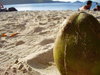 Coconut close Up
