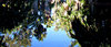 pool reflections1