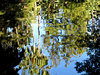 pool reflections3