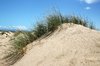 Sand dunes