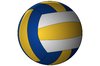 Vector Volleyball