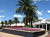 resort vegetation