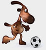 Fun dog
