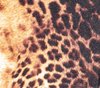 leoparad fabric