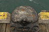 Bollard