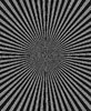 black & white motion target
