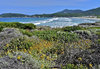 Surf coast