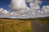 Bowland Fells