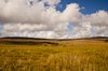 Bowland Fells 3