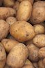 Potato texture