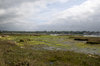 Estuary mudflats