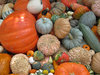 Pumpkins