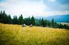 ATV on muntain trip