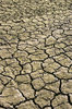 Parched ground