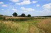 English fields