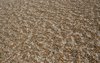 Shingle texture