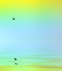 Flight Over Water 4