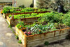 community garden