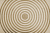 Concentric 4