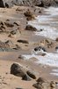 Rocks & shore