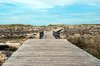 Wood path 2