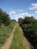 Sunny track