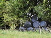 Bales