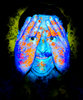 I can still see you...1