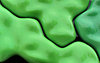 green surface shine1