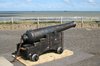 Cannon