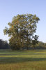 Autumn light 3