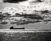 Trading ship