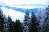 carpatians winter