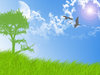 Background 2
