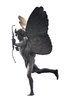 Anteros
