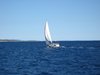 white sail