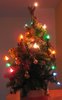 tiny christmas tree