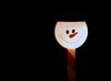 Illuminated snowman in a stick