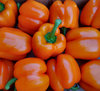 fresh orange capsicums1
