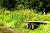 Dock at Lake