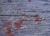 old cracked wood3