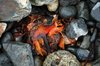 detritus 4