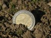 euro in the mud