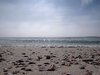Shore
