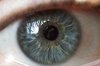 Human Eye