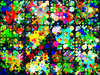 Gone Dotty 1